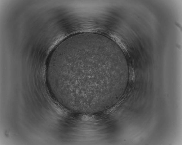 X0000091200346200708231535
