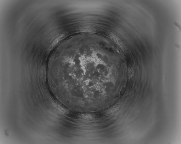 X0000091200349200708231535