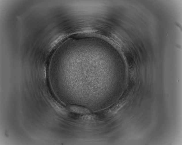 X0000091200350200708231535