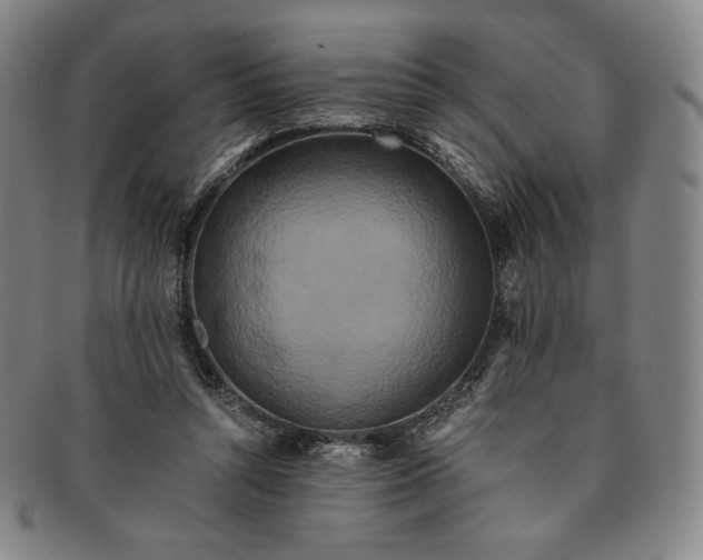 X0000091200352200708231535