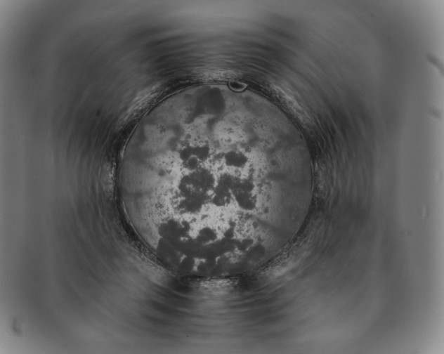 X0000091200357200708231535