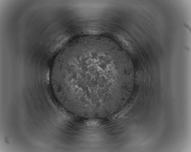 X0000091200358200708231535