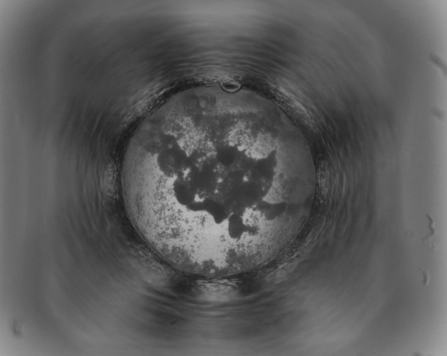 X0000091200359200708231535