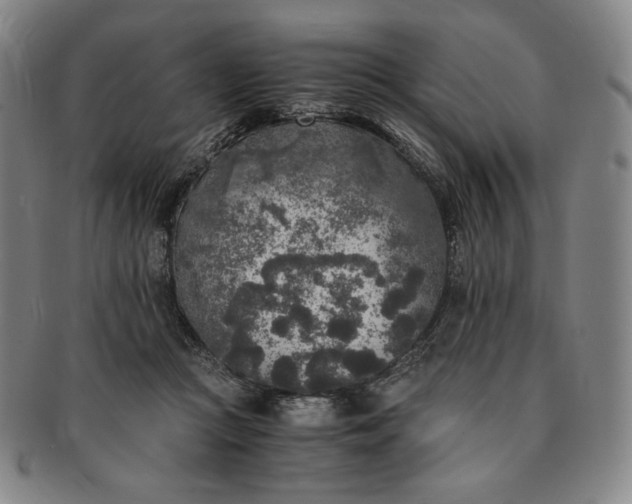 X0000091200361200708231535