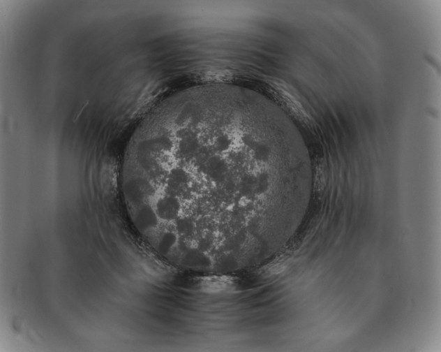 X0000091200363200708231535