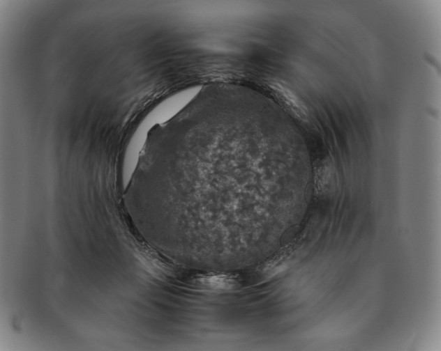 X0000091200365200708231535