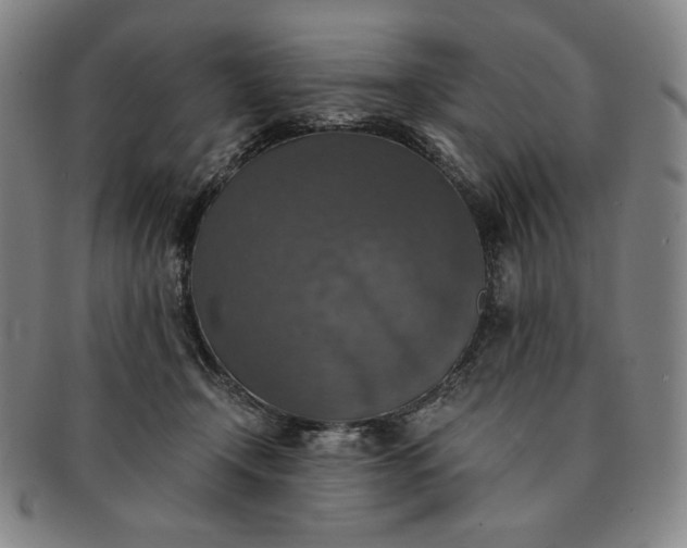 X0000091200366200708231535