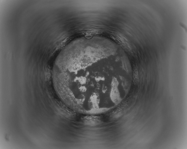 X0000091200367200708231535