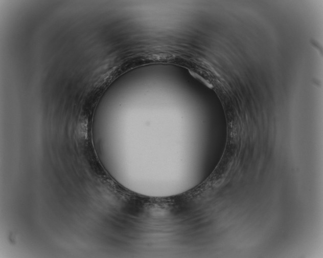 X0000091200368200708231535