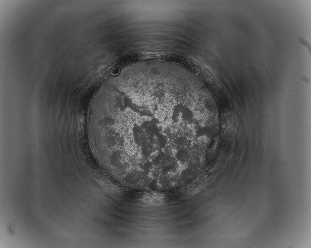 X0000091200369200708231535