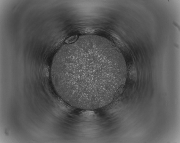 X0000091200374200708231536