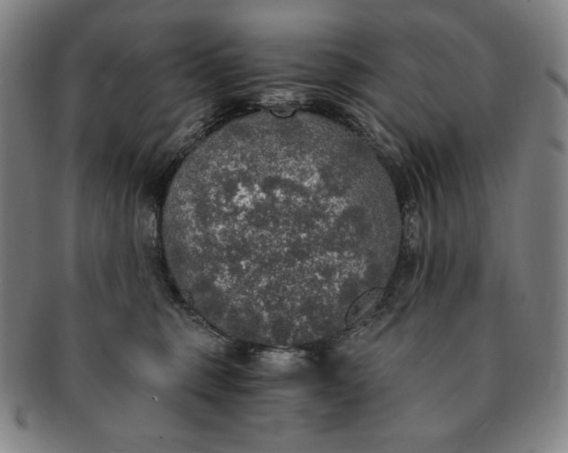 X0000091200375200708231536