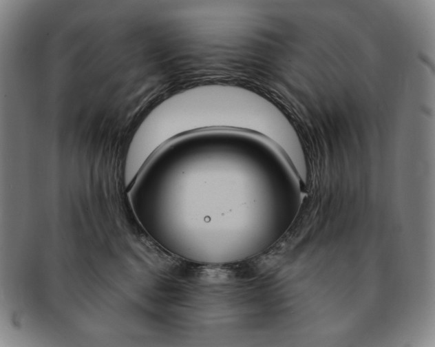 X0000091200376200708231536