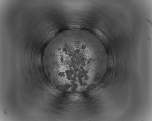 X0000091200377200708231536