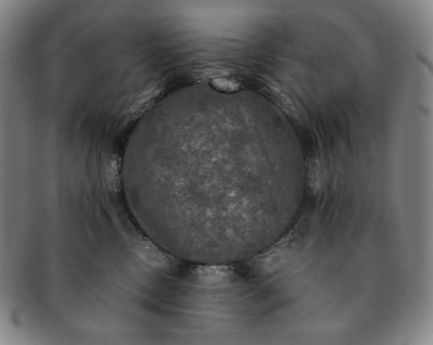 X0000091200378200708231536