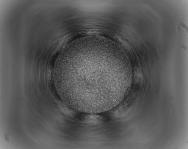 X0000091200379200708231536