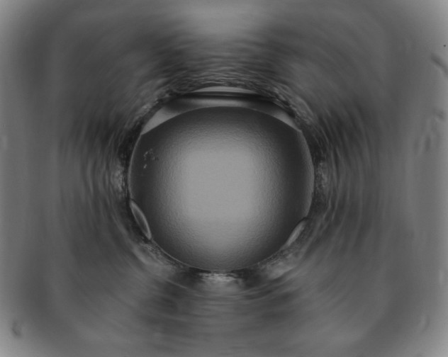 X0000091200380200708231536