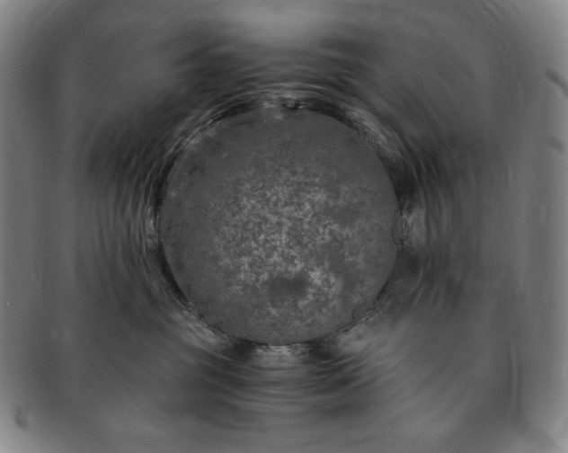 X0000091200381200708231536
