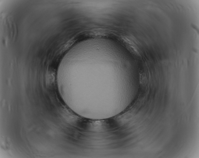 X0000091200382200708231536