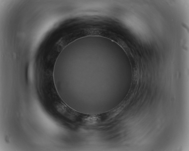 X0000091200383200708231536