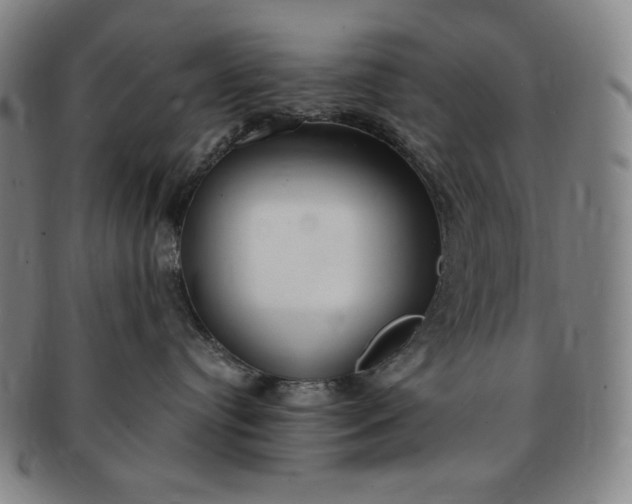 X0000091200384200708231536