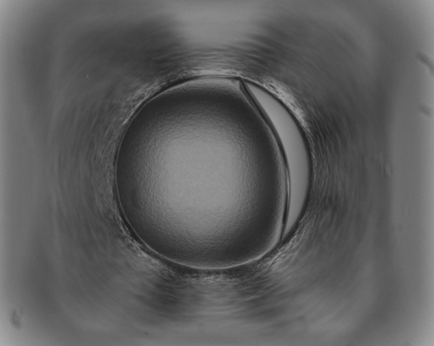 X0000091200385200708231535
