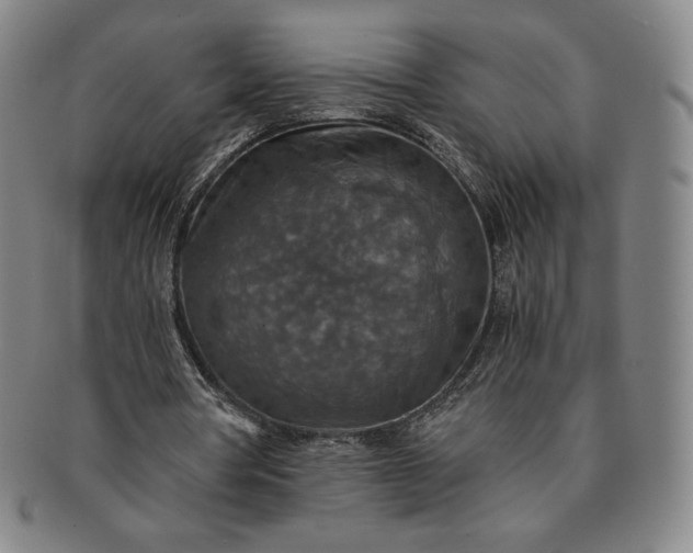 X0000091200386200708231535