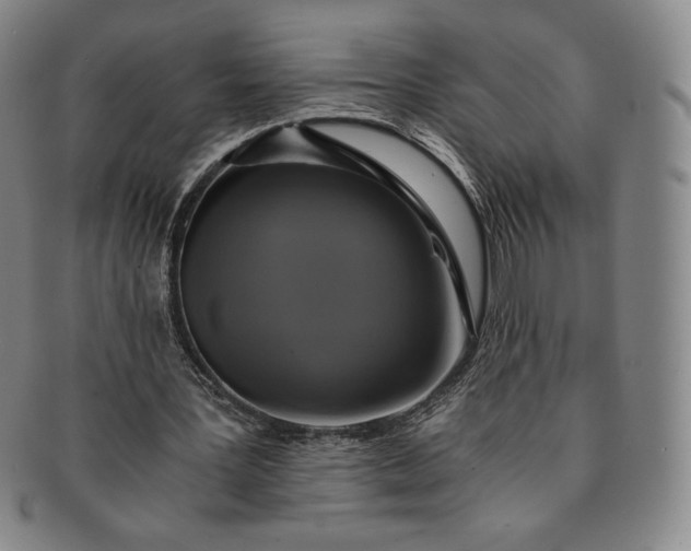 X0000091200387200708231535