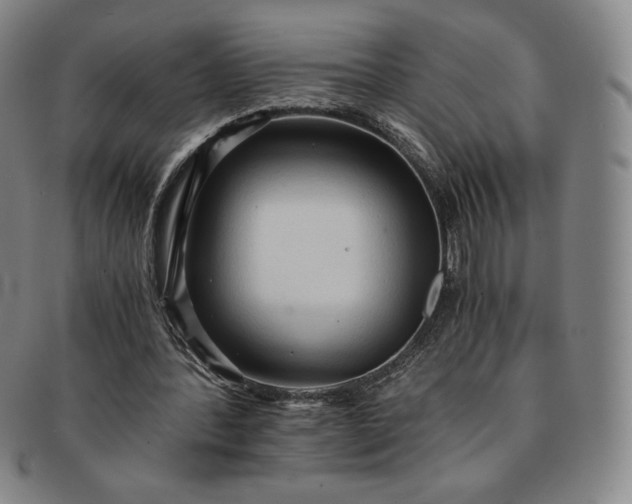 X0000091200388200708231535
