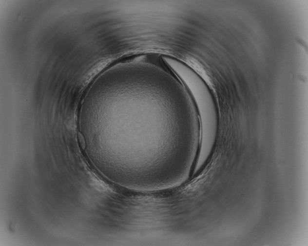 X0000091200389200708231535