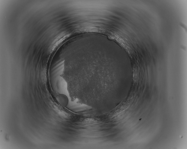 X0000091200390200708231535
