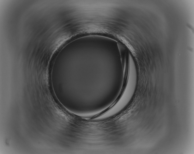 X0000091200391200708231535