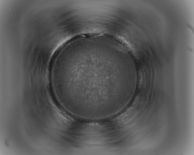 X0000091200392200708231535