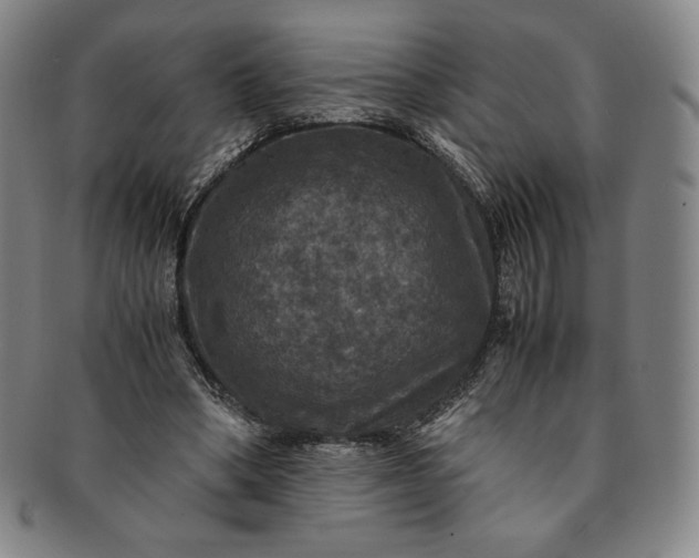 X0000091200394200708231535