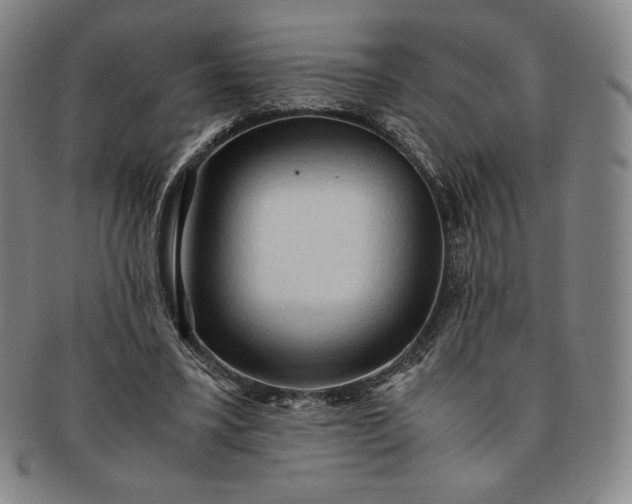 X0000091200395200708231535