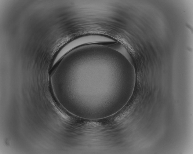 X0000091200397200708231535