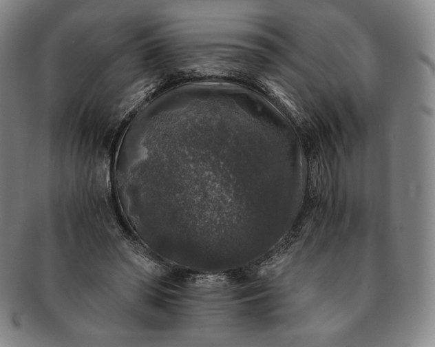 X0000091200398200708231535