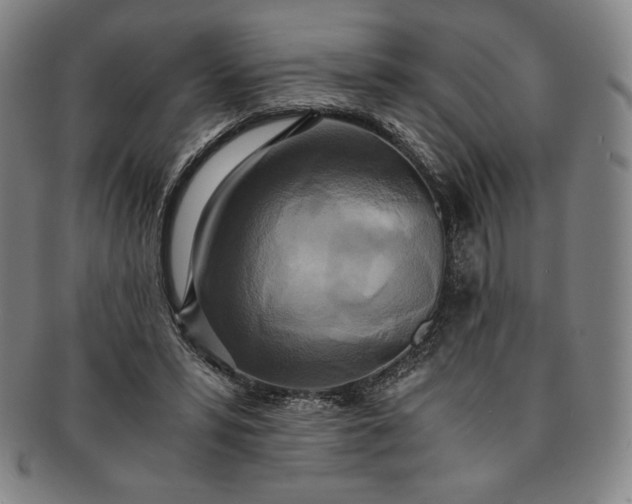 X0000091200399200708231535