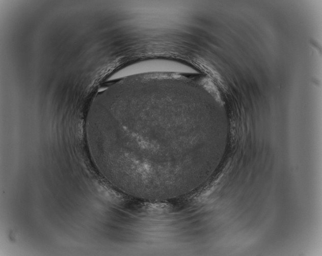 X0000091200401200708231535