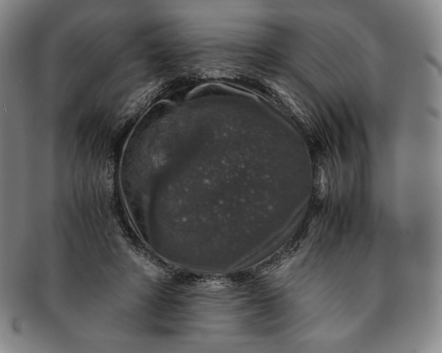 X0000091200402200708231535