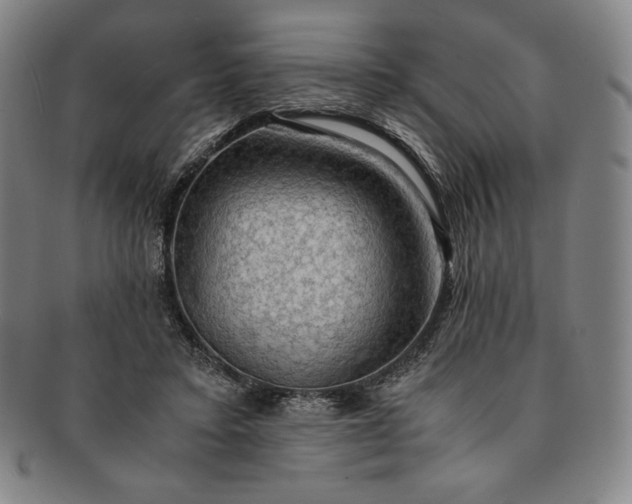 X0000091200403200708231535