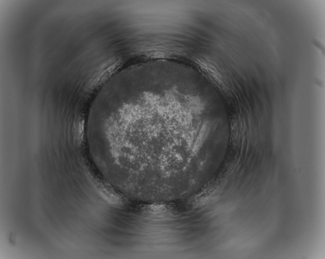 X0000091200406200708231535