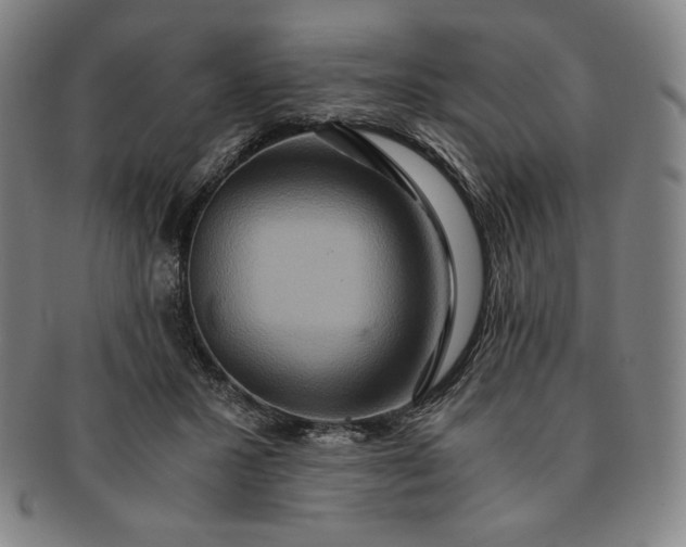 X0000091200407200708231535