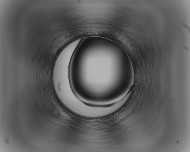 X0000091200411200708231535