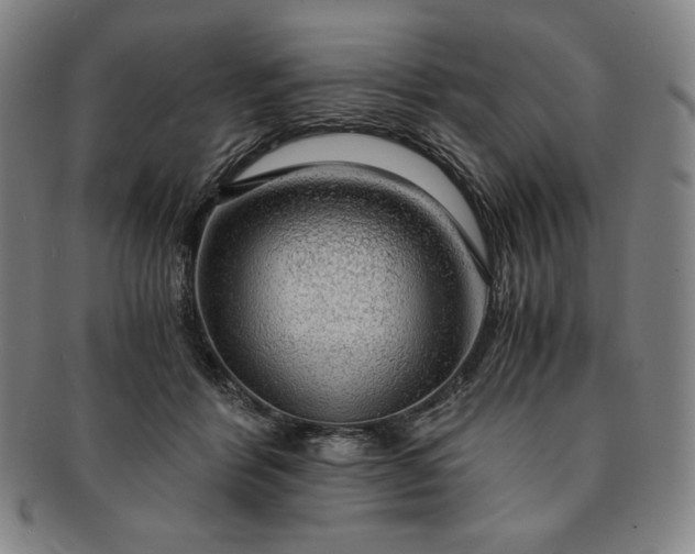 X0000091200412200708231535
