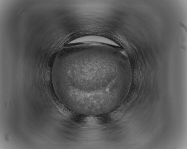 X0000091200413200708231535