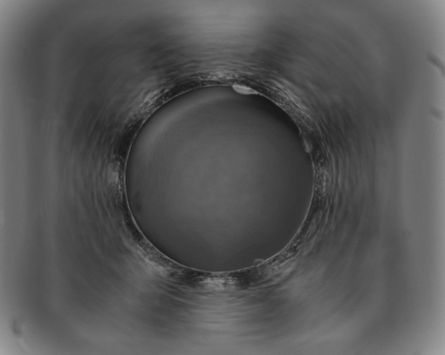 X0000091200415200708231535