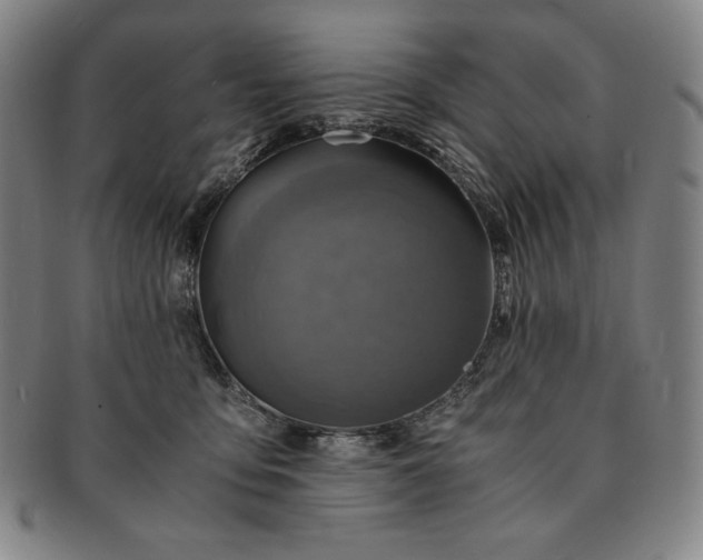 X0000091200419200708231535
