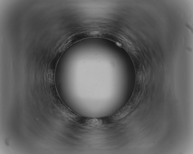 X0000091200421200708231535