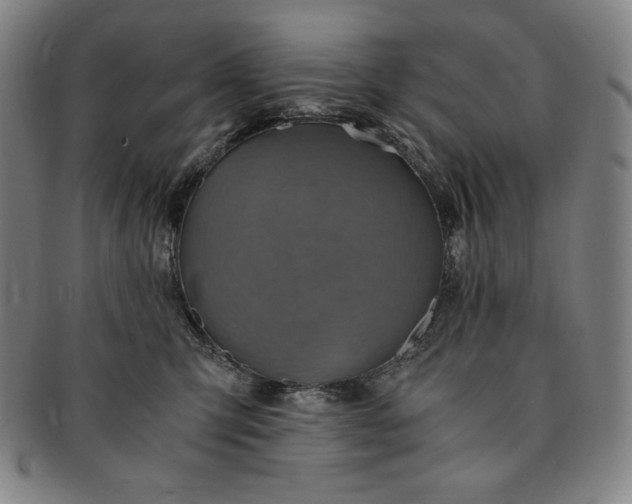 X0000091200423200708231535